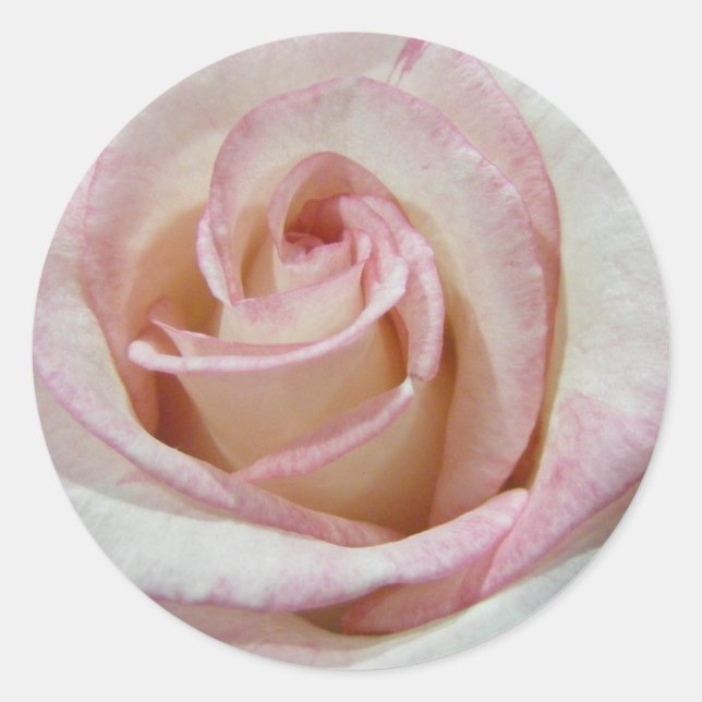 Love's First Blush Rose Classic Round Sticker (Front)