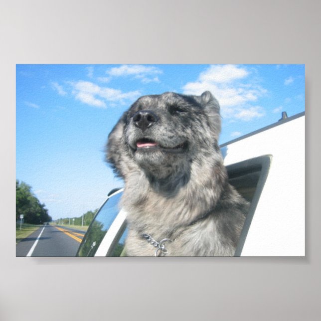 Lovin' Life Poster (Front)