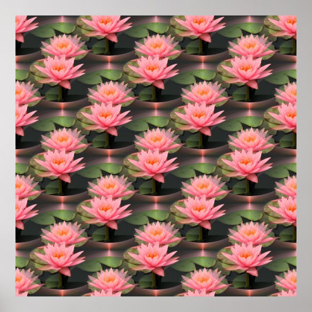 Lovin' Lilies.... Poster (Front)