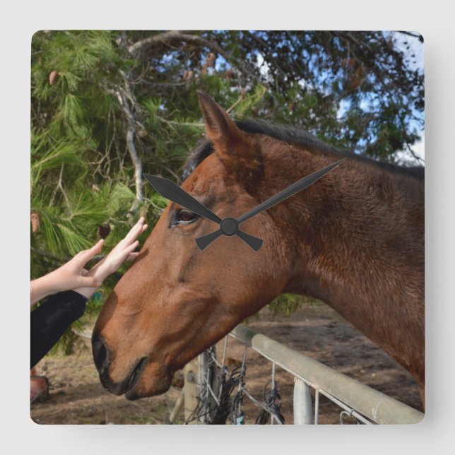 Loving A Big Brown Horse, Square Wall Clock (Front)