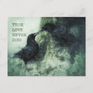 Loving Crows True Love Never This Love Raben Postcard