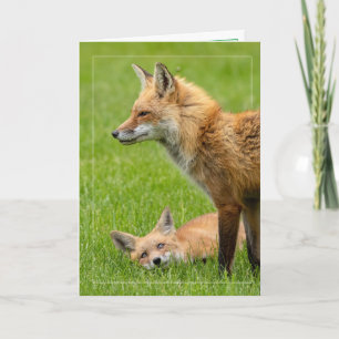 Loving Eyes Foxes Card