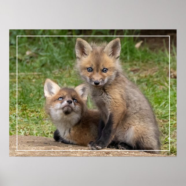 Loving Eyes Poster (Front)