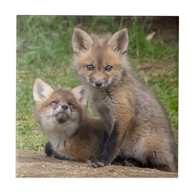 Loving Eyes Tile (Front)