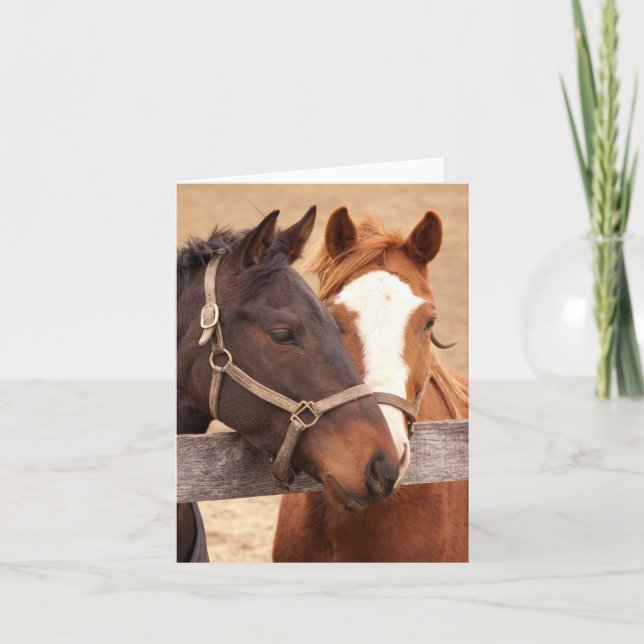 Loving Horses 4" x 5.6" Folded Thank You Card (Front)
