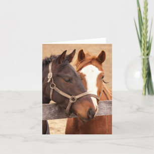 Loving Horses 4" x 5.6" Folded Thank You Card