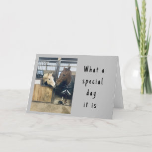 "LOVING HORSES" HAPPY BIRTHDAY CARD