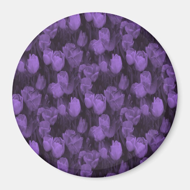 Loving Lavender... Magnet (Front)