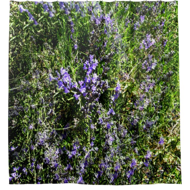 Loving Lavender..... Shower Curtain (Front)