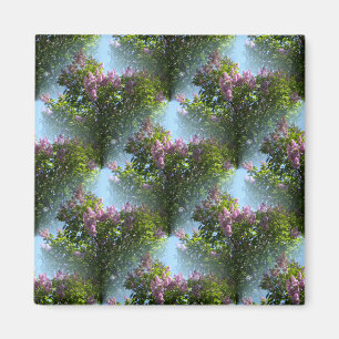 Loving Lilacs.... Magnet