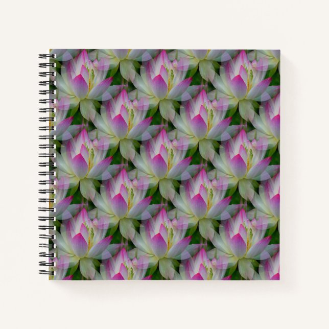 Loving Lotuses... Notebook (Front)