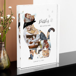 Loving Memory Cat Photo Collage Pet Memorial