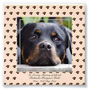 Loving Memory Rottweiler  PHOTO Named Keepsake
