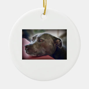 Loving Pitbull Eyes Ceramic Tree Decoration