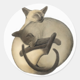 Loving Siamese Cats Classic Round Sticker