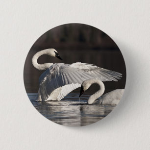 Loving Swans 6 Cm Round Badge
