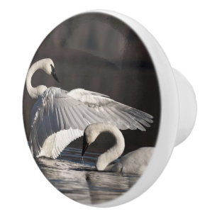 Loving Swans Ceramic Knob