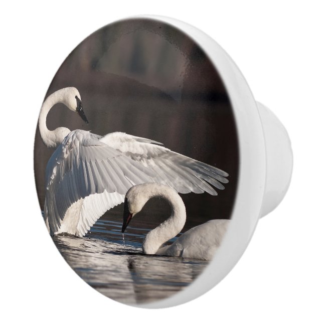 Loving Swans Ceramic Knob (Right)