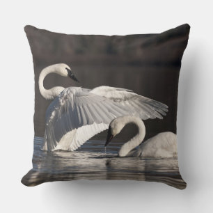 Loving Swans Cushion