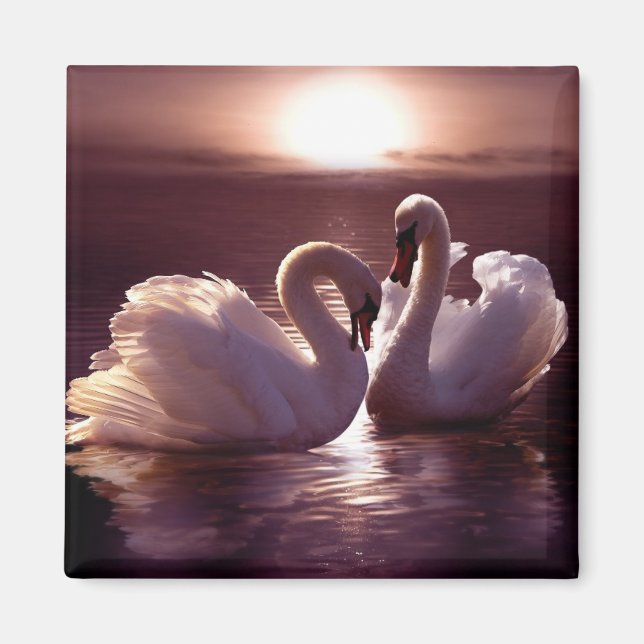 Loving Swans Forming a Heart Magnet (Front)