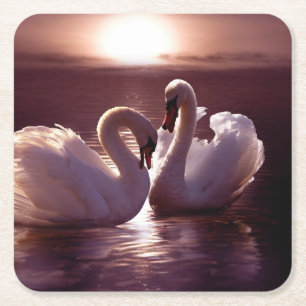 Loving Swans Forming a Heart Square Paper Coaster
