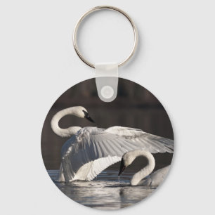 Loving Swans Key Ring