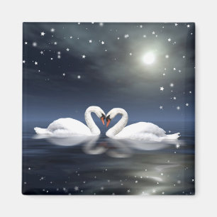 Loving swans magnet