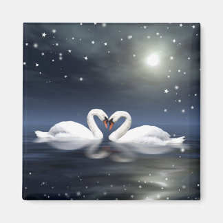 Loving swans magnet