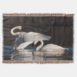Loving Swans Throw Blanket