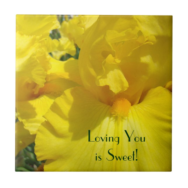 Loving You is Sweet! tile art Yellow Iris Flowers (Front)