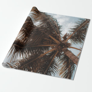 LOW-ANGLE PHOTO OF COCONUT TREE WRAPPING PAPER