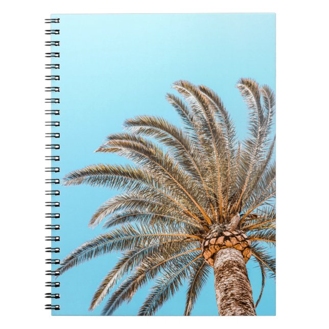 Low-angle photography of a green palm tree under a notebook (Front)