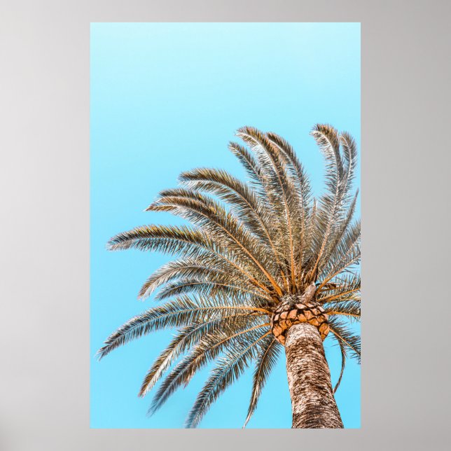 Low-angle photography of a green palm tree under a poster (Front)