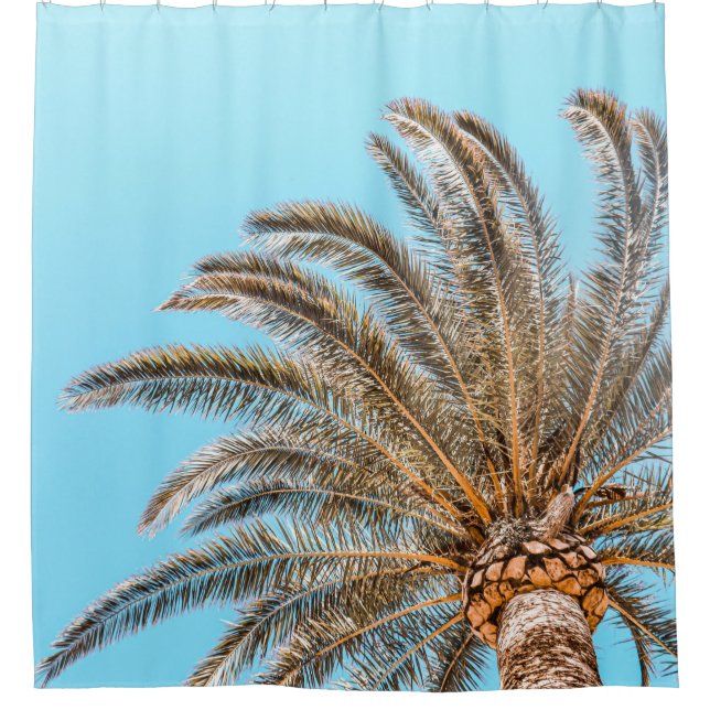 Low-angle photography of a green palm tree under a shower curtain (Front)