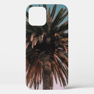 Low angle photography of brown tree iPhone 12 case