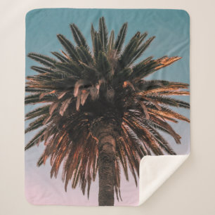 Low angle photography of brown tree sherpa blanket