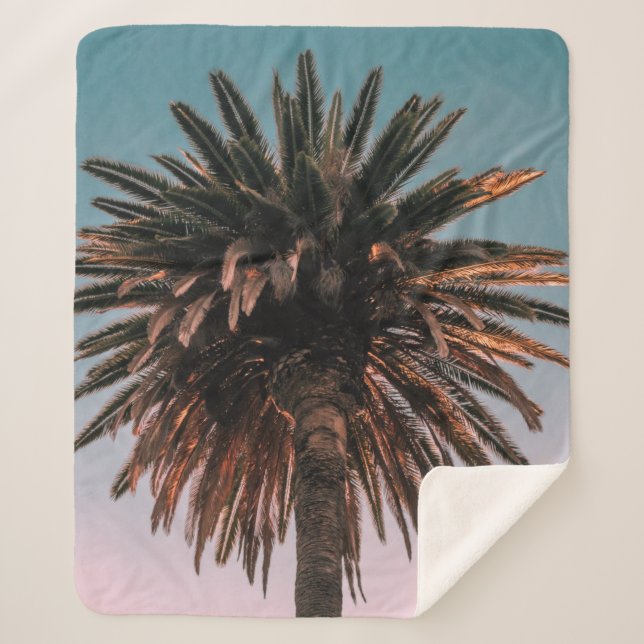 Low angle photography of brown tree sherpa blanket (Front)