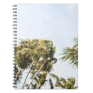 LOW-ANGLE PHOTOGRAPHY OF GREEN COCONUT TREES UNDER NOTEBOOK