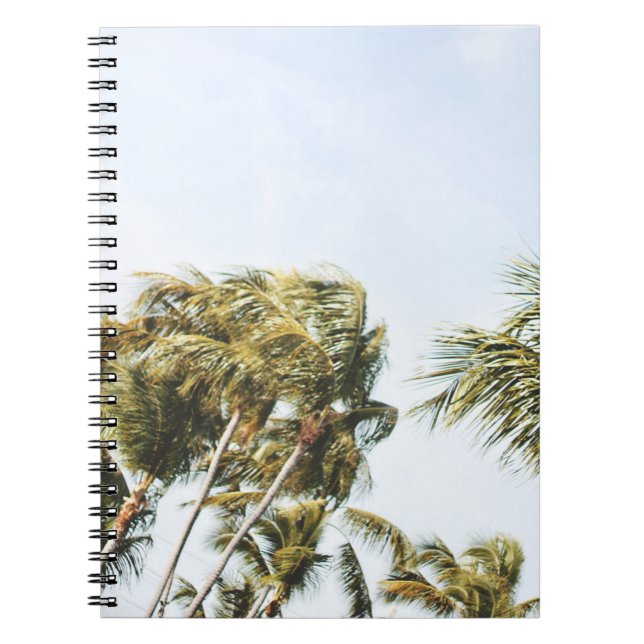 LOW-ANGLE PHOTOGRAPHY OF GREEN COCONUT TREES UNDER NOTEBOOK (Front)