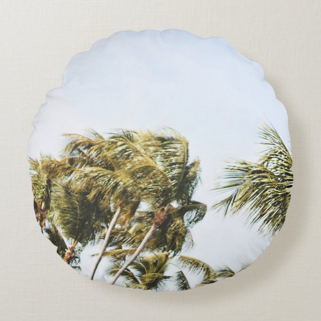 LOW-ANGLE PHOTOGRAPHY OF GREEN COCONUT TREES UNDER ROUND CUSHION (Front)
