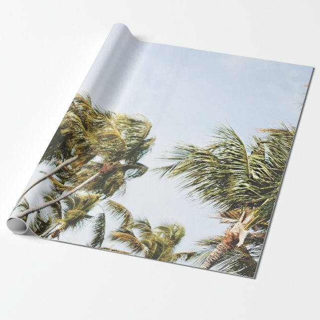 LOW-ANGLE PHOTOGRAPHY OF GREEN COCONUT TREES UNDER WRAPPING PAPER (Unrolled)
