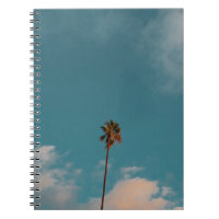 Low angle photography of palm tree under blue sky