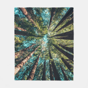 Low angle photography of trees at daytime fleece blanket