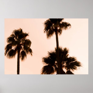 LOW-ANGLE PHOTOGRAPHY PALM PLANTS POSTER