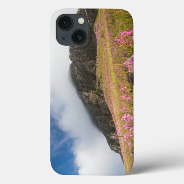 Low Angle View Of Watsonias Against The Slopes Case-Mate iPhone Case (Back)