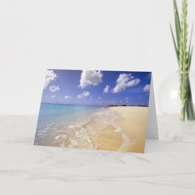 Low Bay Beach, Barbuda, Antigua Card (Front)