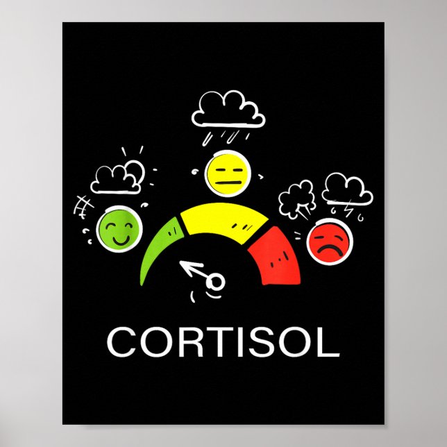 Low cortisol levels v meme  poster (Front)