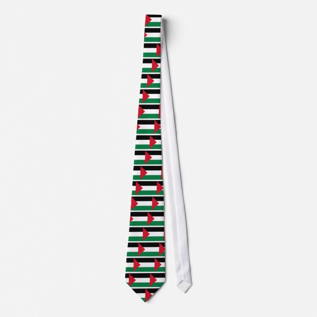 Low Cost! Palestine Flag Tie (Front)