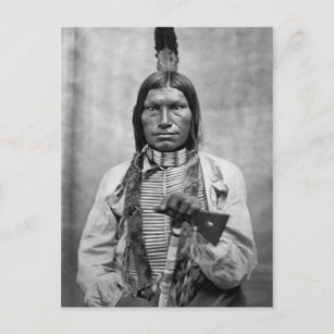 Low Dog - Native American vintage photo Postcard