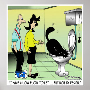 Low Flow Toilets & Cats Poster